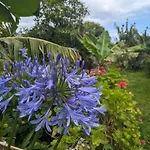 The Plantation Faial Bed & Breakfast 3*