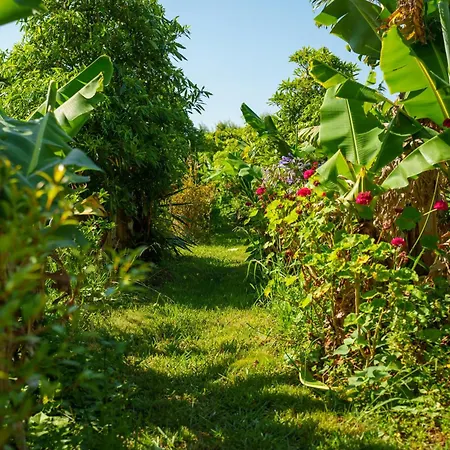 Bed & Breakfast The Plantation Faial Feteira (Faial)