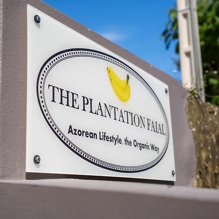 B&B The Plantation Faial Feteira (Faial)