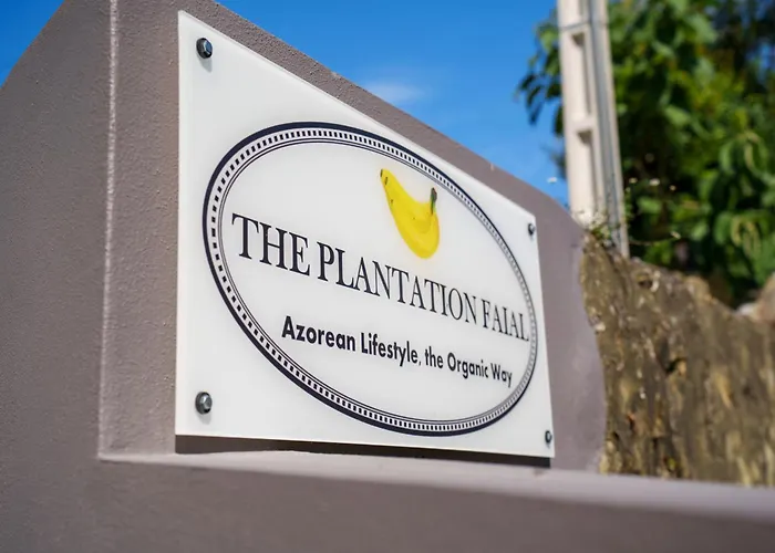 B&B The Plantation Faial Feteira (Faial)